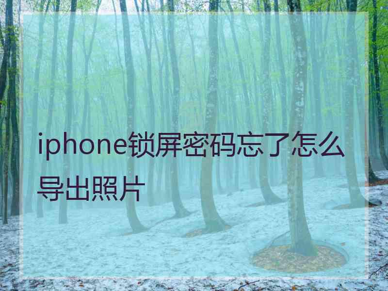 iphone锁屏密码忘了怎么导出照片
