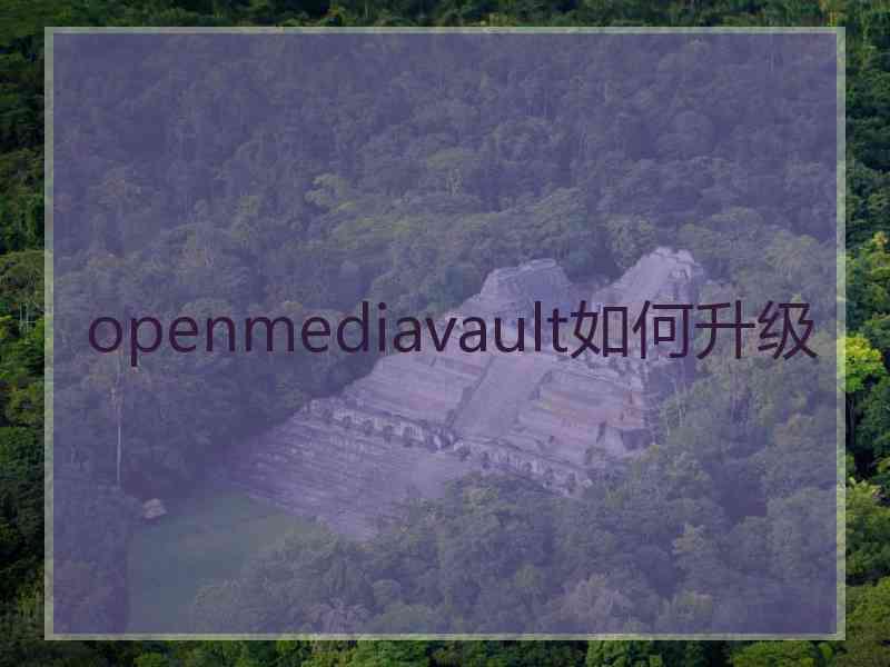 openmediavault如何升级