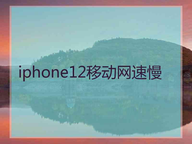 iphone12移动网速慢