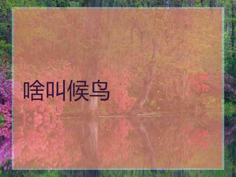 啥叫候鸟