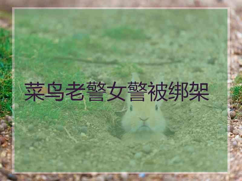 菜鸟老警女警被绑架
