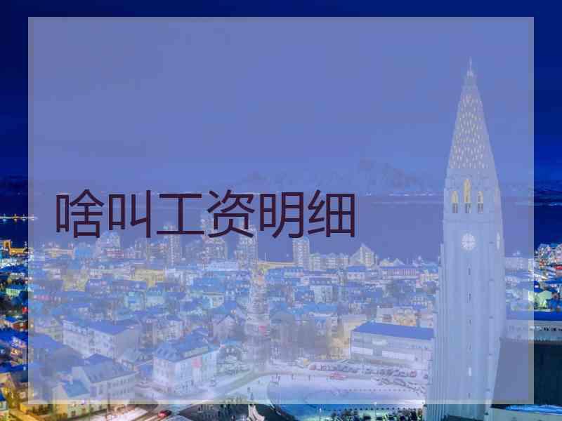 啥叫工资明细