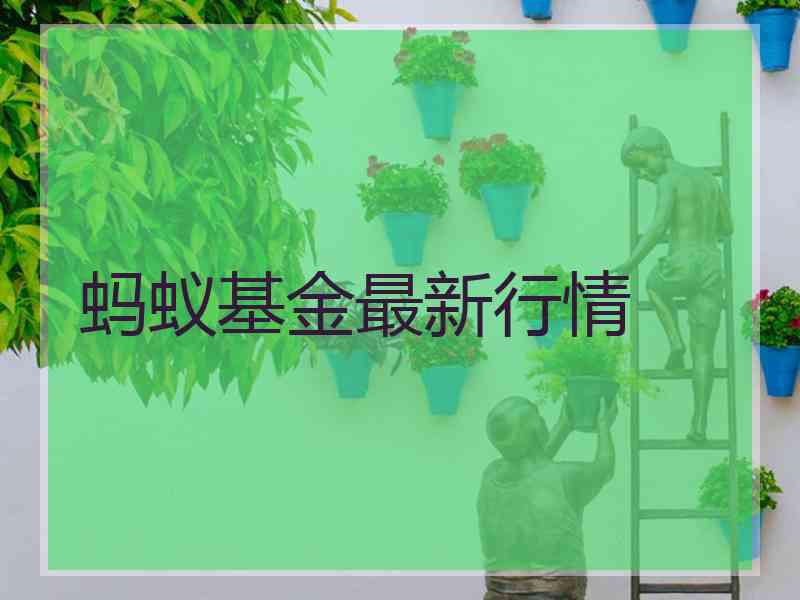 蚂蚁基金最新行情