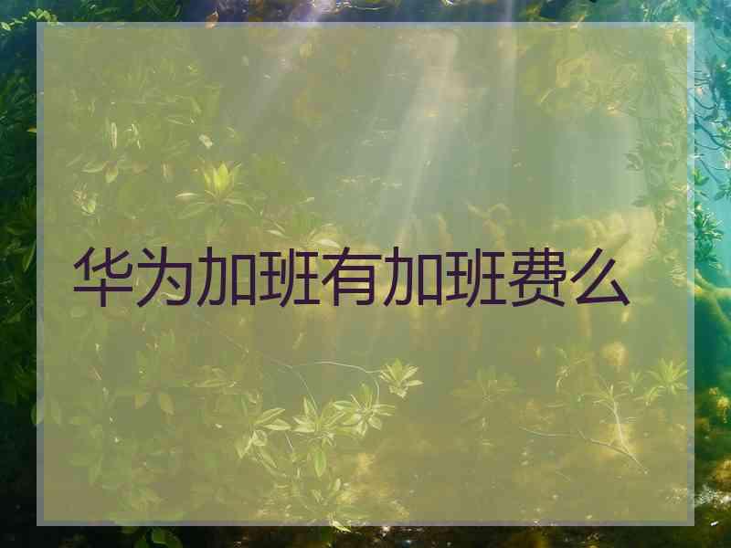 华为加班有加班费么