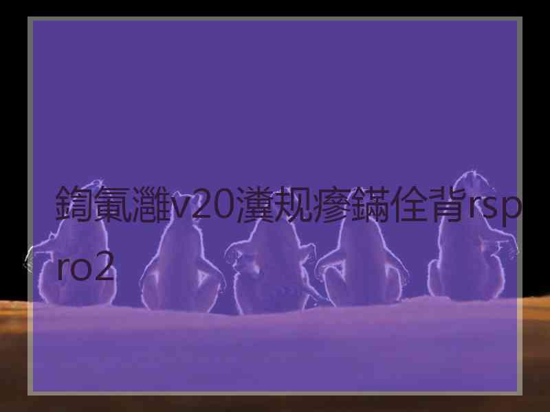 鍧氭灉v20瀵规瘮鏋佺背rspro2