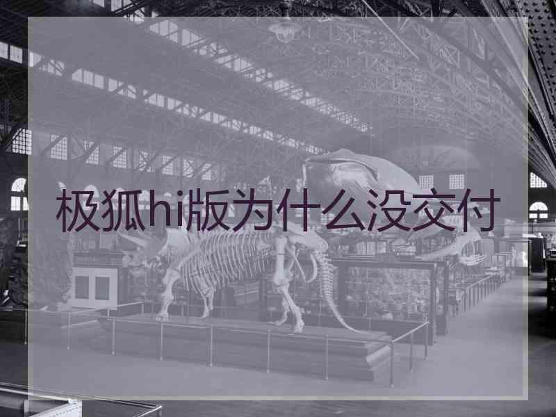 极狐hi版为什么没交付