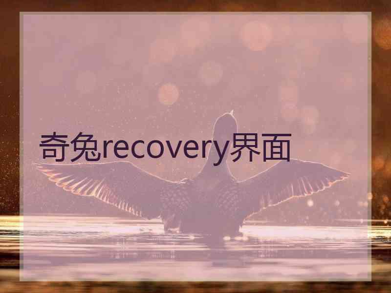 奇兔recovery界面