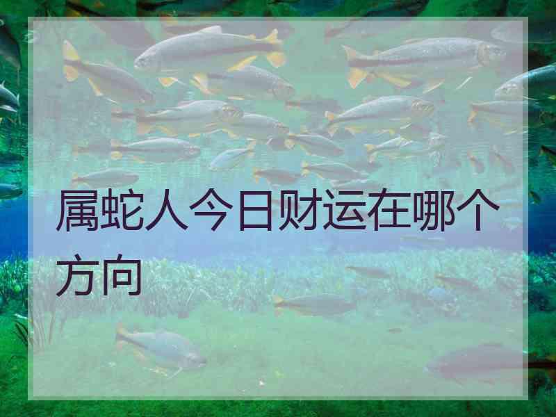 属蛇人今日财运在哪个方向