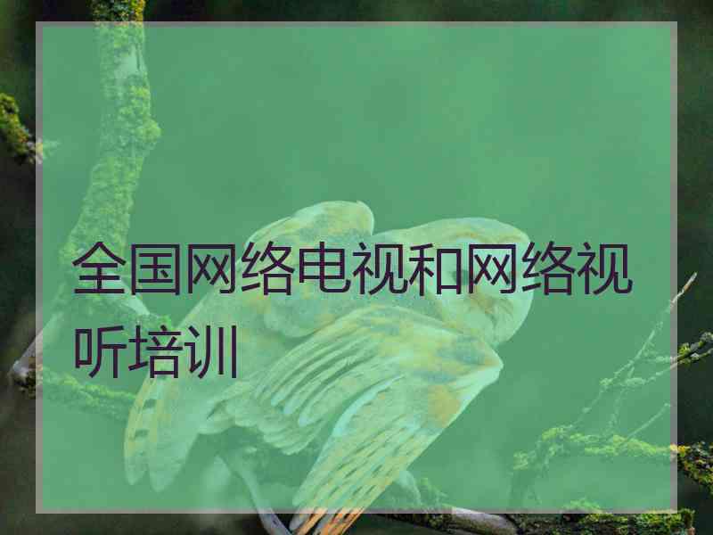 全国网络电视和网络视听培训