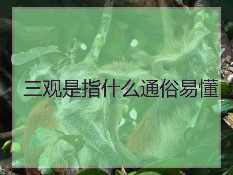 三观是指什么通俗易懂