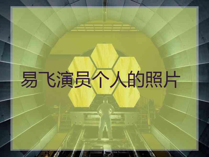 易飞演员个人的照片