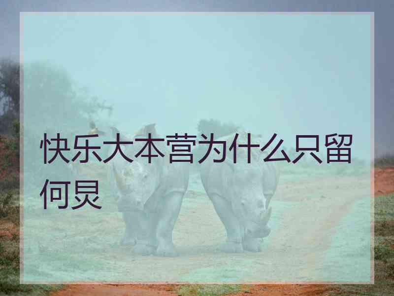 快乐大本营为什么只留何炅