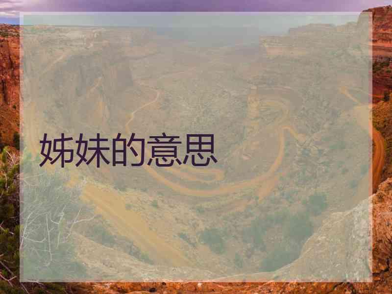姊妹的意思