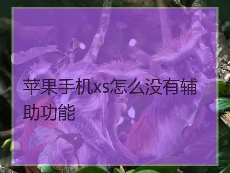 苹果手机xs怎么没有辅助功能