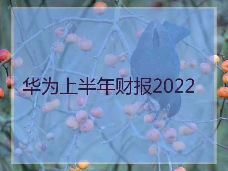 华为上半年财报2022