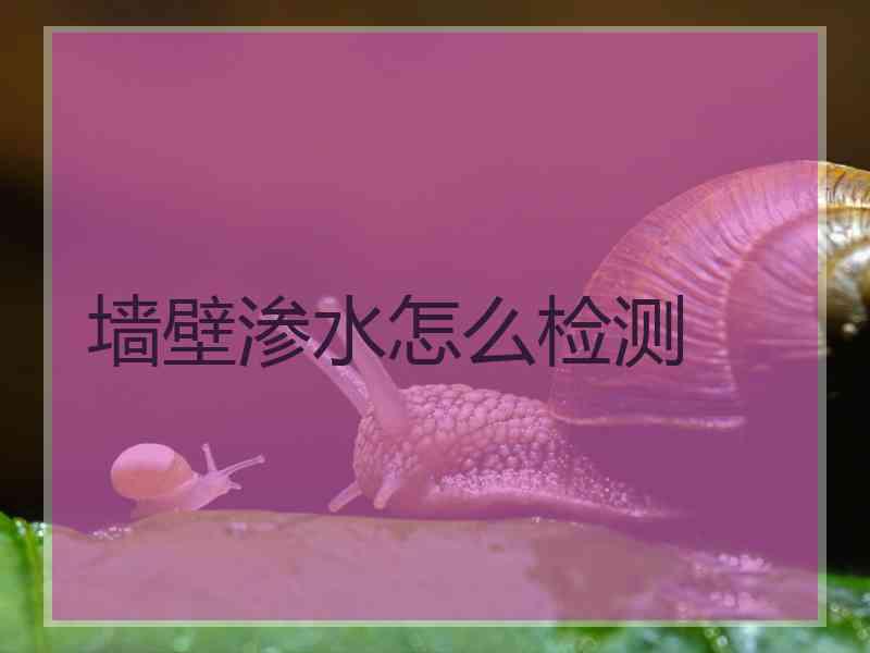 墙壁渗水怎么检测