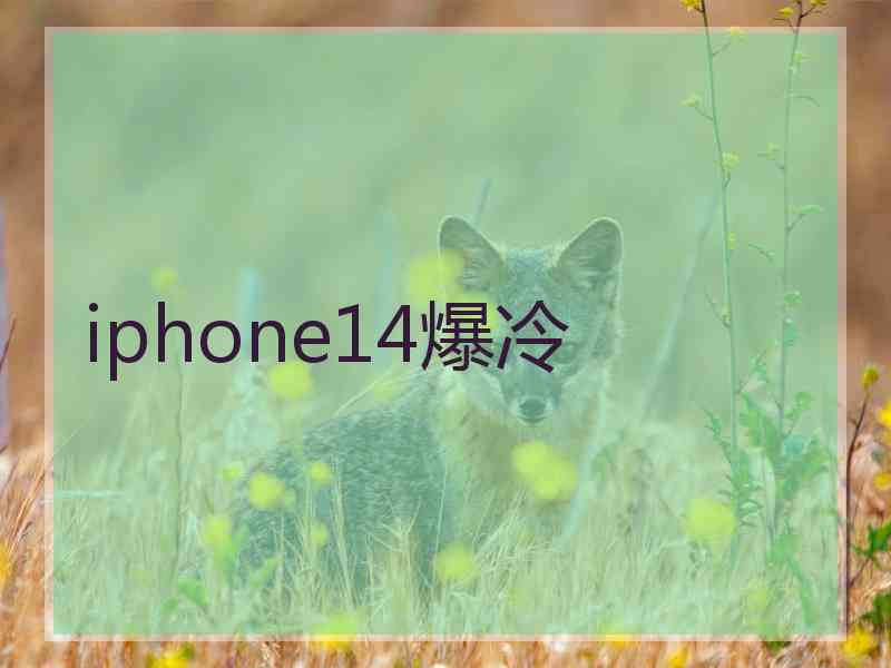 iphone14爆冷