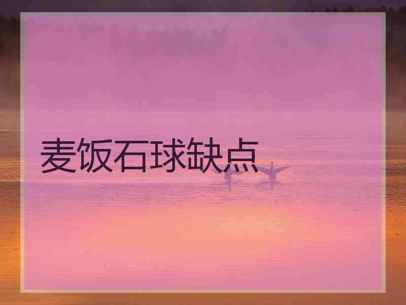 麦饭石球缺点