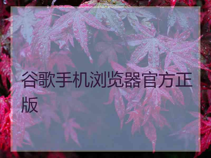 谷歌手机浏览器官方正版