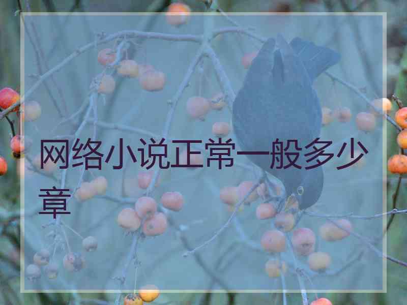 网络小说正常一般多少章