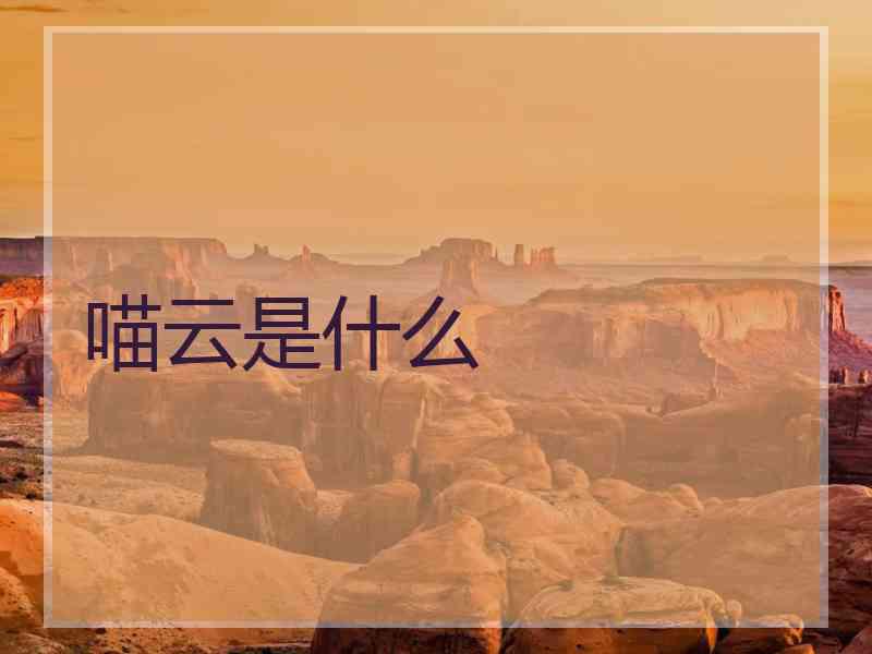 喵云是什么