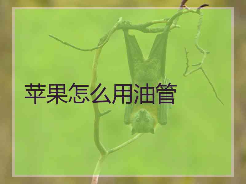 苹果怎么用油管