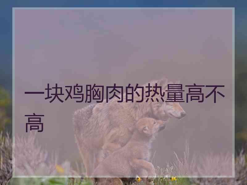 一块鸡胸肉的热量高不高