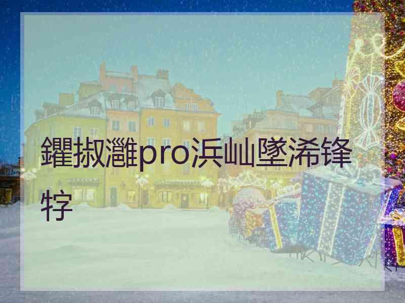 鑺掓灉pro浜屾墜浠锋牸