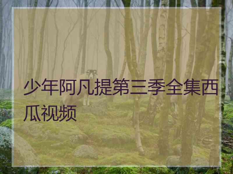 少年阿凡提第三季全集西瓜视频
