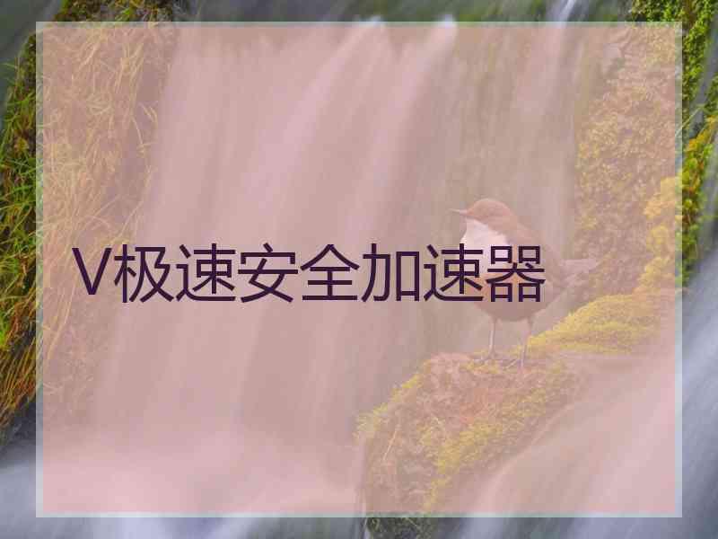 V极速安全加速器