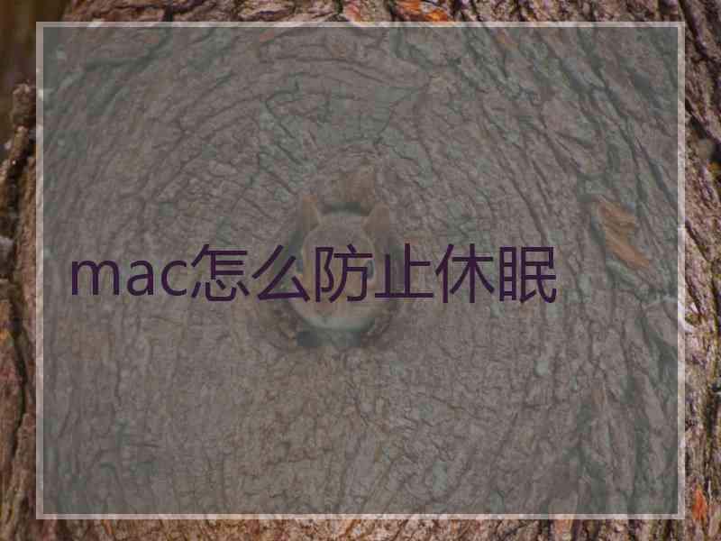 mac怎么防止休眠