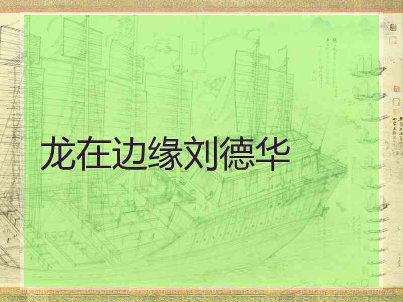 龙在边缘刘德华
