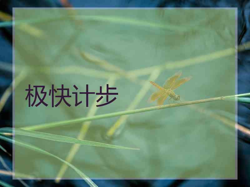 极快计步