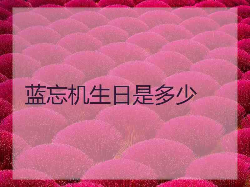 蓝忘机生日是多少