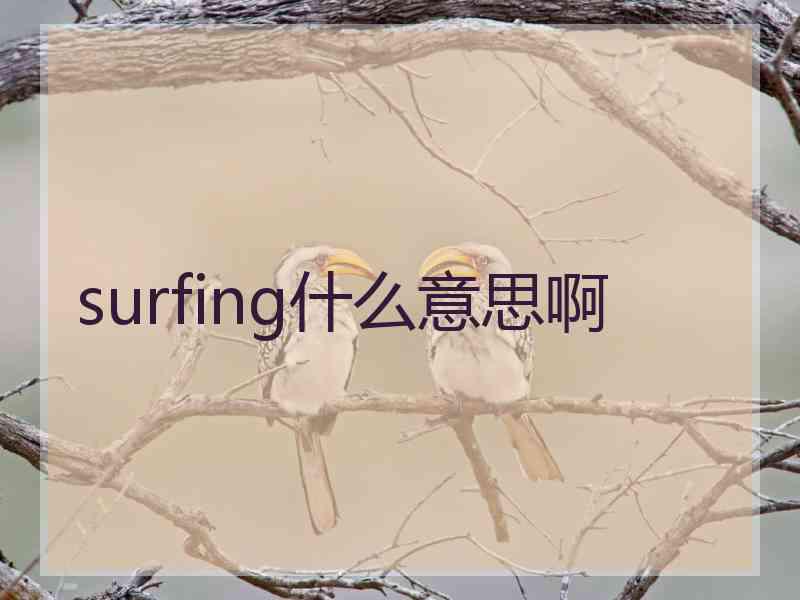 surfing什么意思啊
