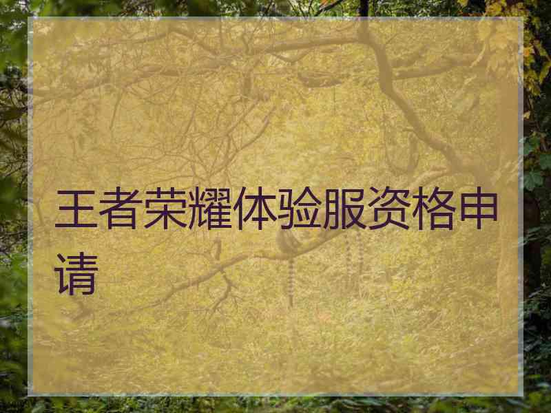 王者荣耀体验服资格申请