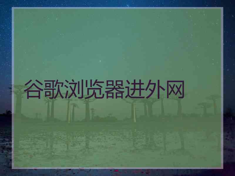 谷歌浏览器进外网