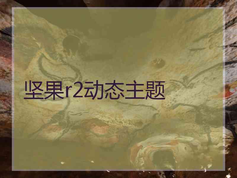 坚果r2动态主题