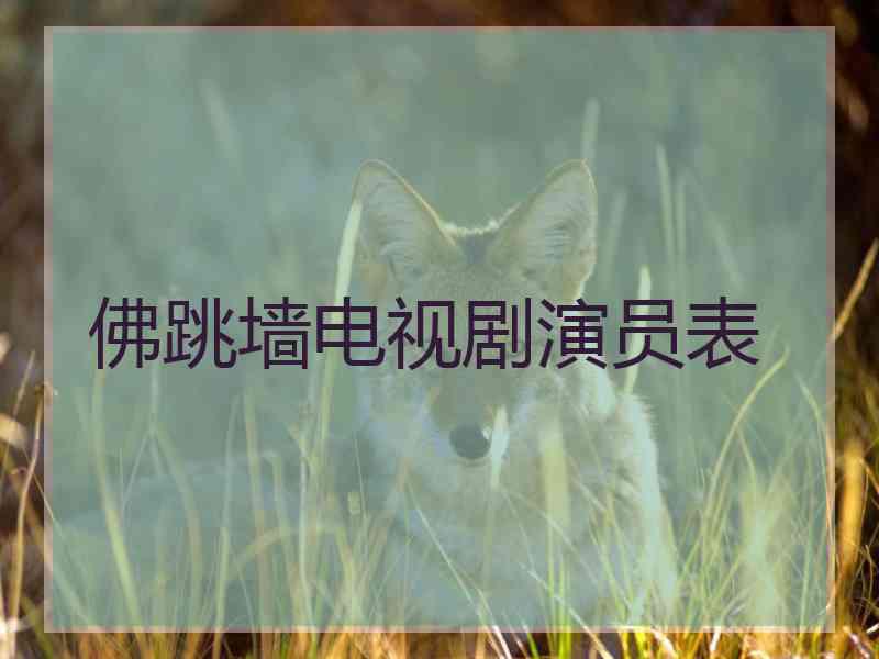 佛跳墙电视剧演员表