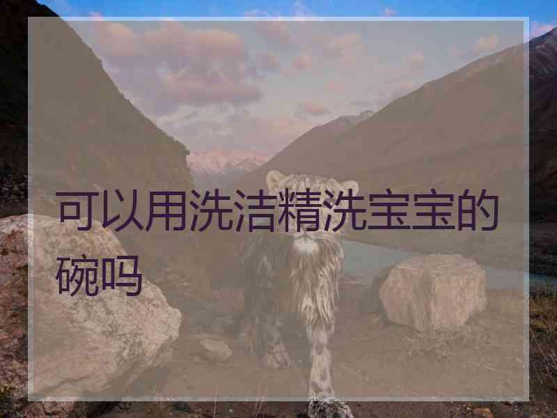 可以用洗洁精洗宝宝的碗吗