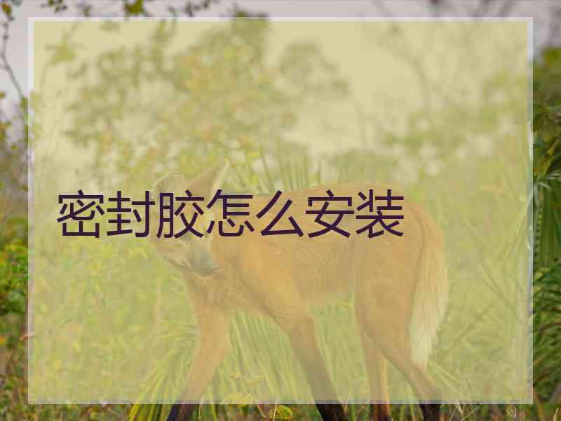 密封胶怎么安装