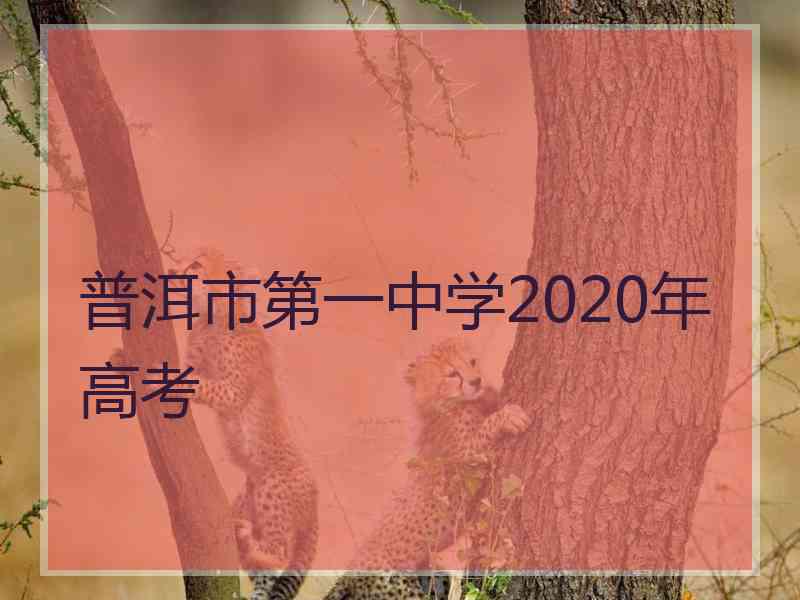 普洱市第一中学2020年高考