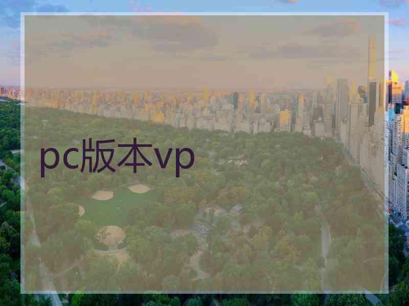 pc版本vp