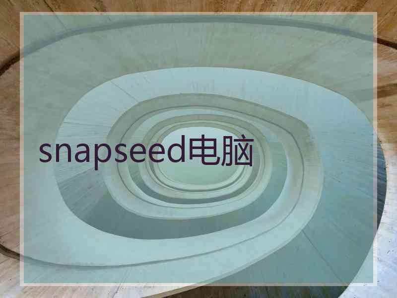 snapseed电脑