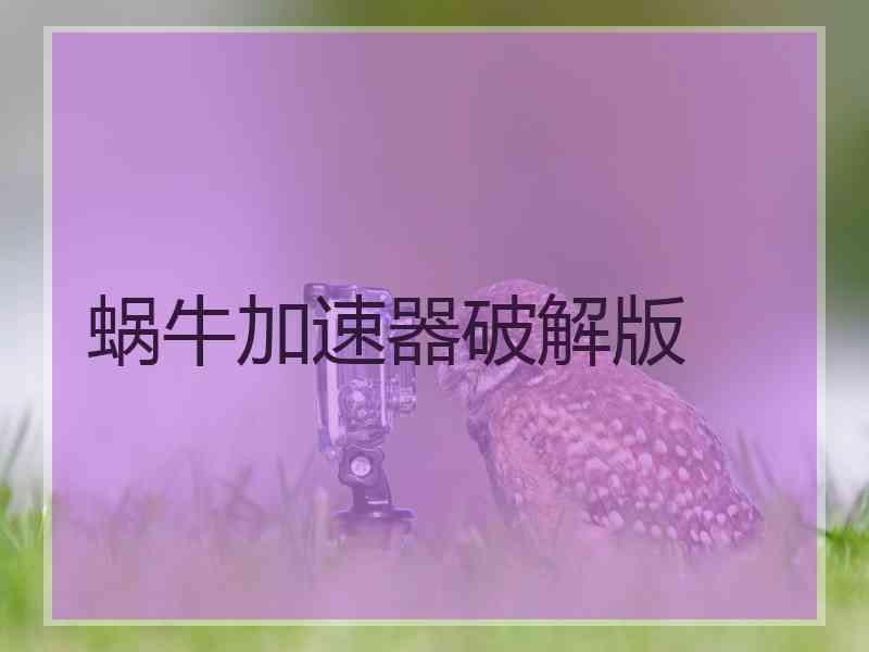 蜗牛加速器破解版