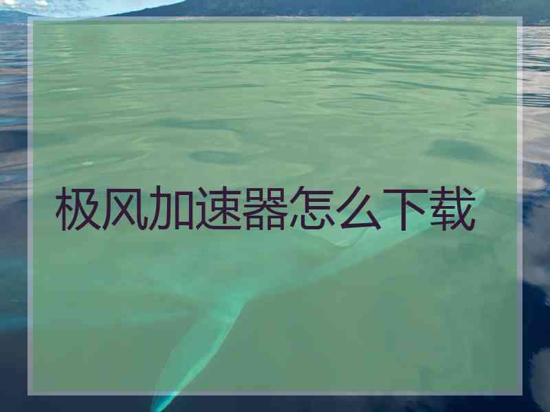 极风加速器怎么下载
