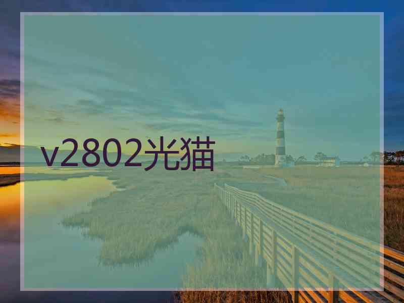 v2802光猫