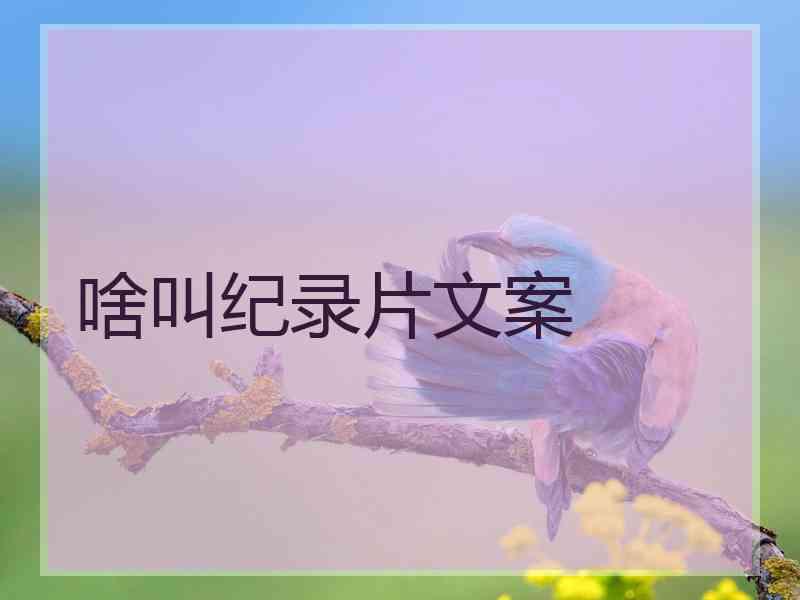 啥叫纪录片文案