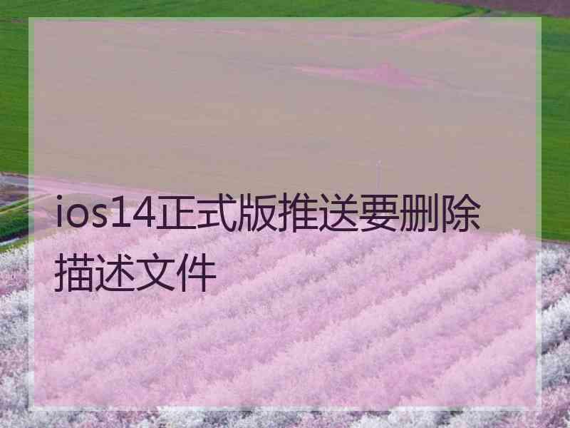 ios14正式版推送要删除描述文件
