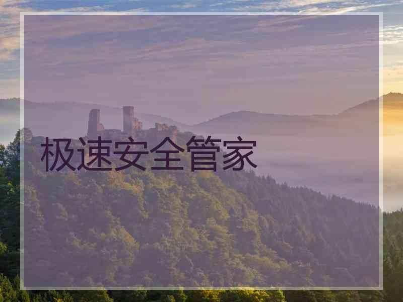 极速安全管家